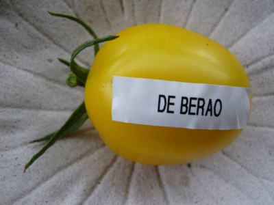 To_De_Berao.jpg