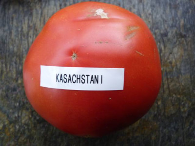 To_Kasachstan_I_von_Galina.jpg