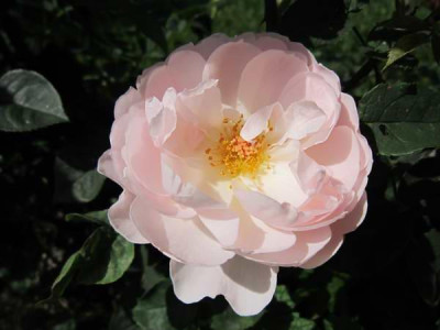 110806_03a.jpg