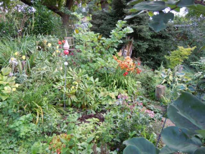 05.08.11_Bluten_im_Hochsommer_061.JPG