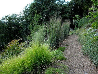 comp_k-Garten2_018BB.jpg