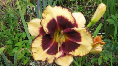 GARTEN_515.jpg
