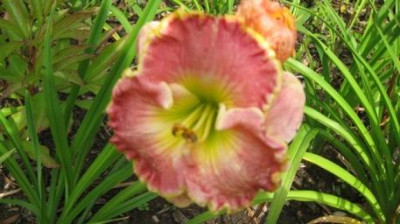 GARTEN_517.jpg