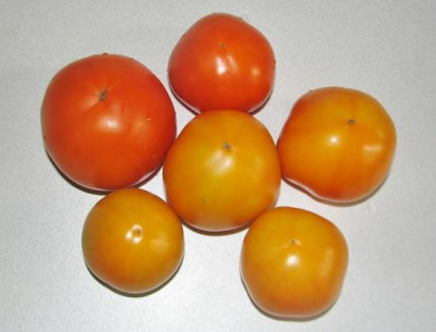 comp_2011-08-02_001_Orange_1_2.jpg