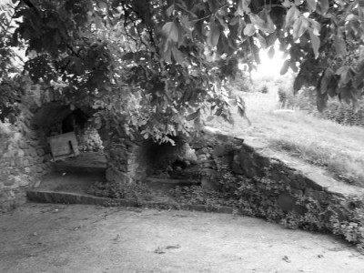 100_1782.JPG