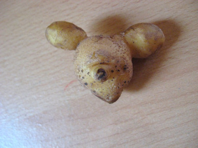 Kartoffelmaus.jpg
