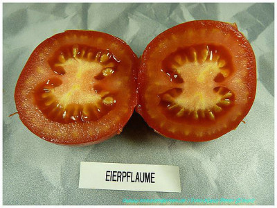 Eierpflaume_Sliced01.jpg