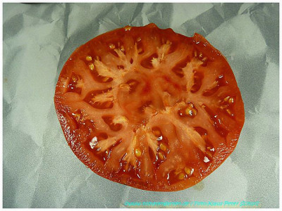 Germaid_Red_Sliced01.jpg