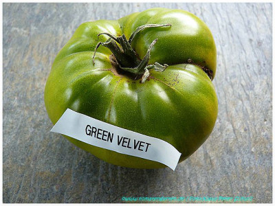 Green_Velvet_2011_01.jpg