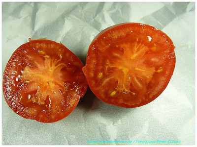 Sewernaja_Krasawica_Sliced01.jpg