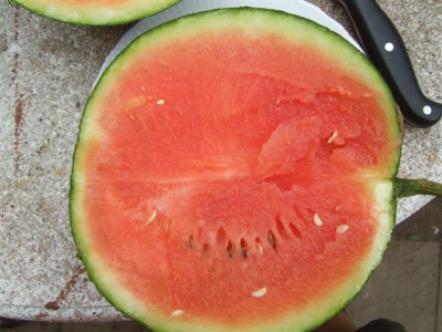 Wassermelonen_011_Small.jpg