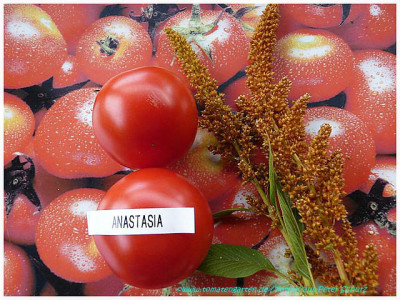 Anastasia_2011_01.jpg