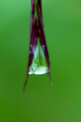 w_DSC3164.jpg