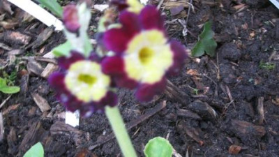 GARTEN_523.jpg
