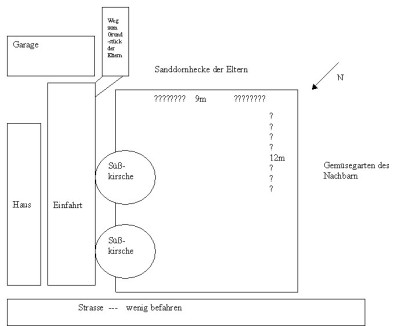 Petra-Garten.jpg