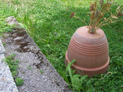 100_1550.JPG
