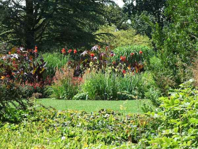 DSCF4580.jpg