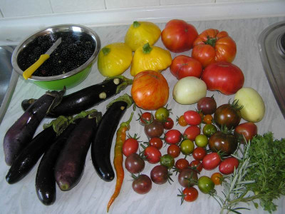 ernte140811.jpg