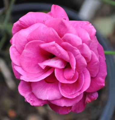 Schirmherr_FBB_0011__9721.jpg