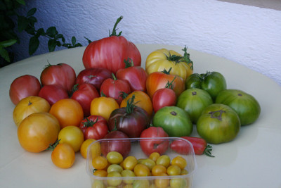 August5711.jpg