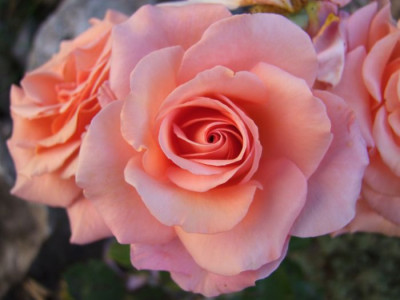 DSCF0033-k.jpg