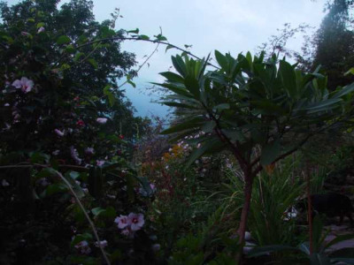 K640_DSC02798.JPG