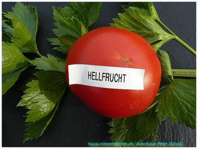 Hellfrucht_2011_01.jpg