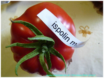 Ispolin_Malinowij_Sliced01.jpg