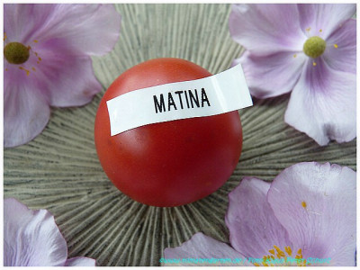 Matina_2011_01.jpg