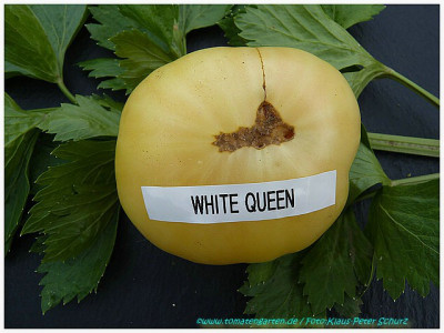 White_Queen_2011_01.jpg