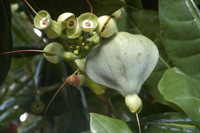 072218_fruchtstand.jpg