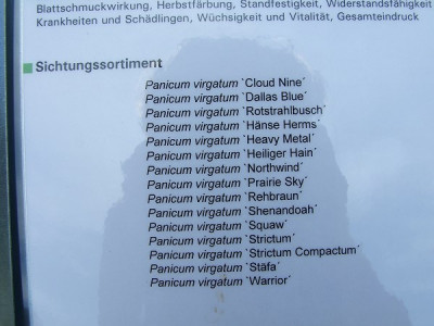 DSCF4624.jpg