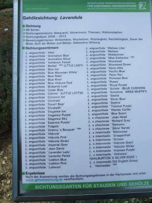 DSCF4618.jpg