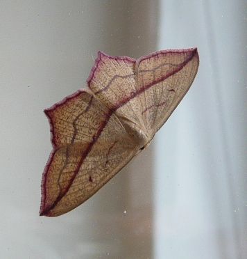 tg_110823.jpg