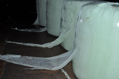 Silioballen_0011__9938.jpg