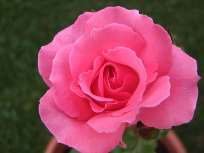 DSCF0095-k.jpg