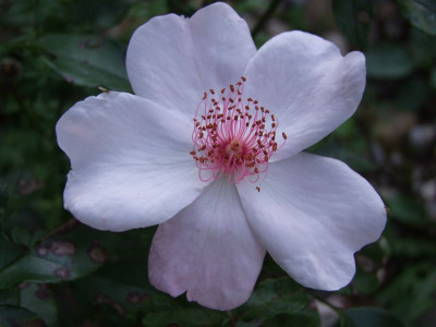 DSCF0152-k.jpg