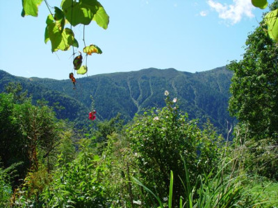 K640_DSC02890.JPG