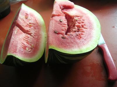 Gelbpunktmelone.jpg