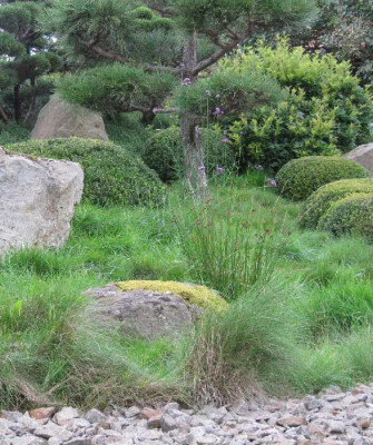 Roji_Felsgarten_Detail.jpg