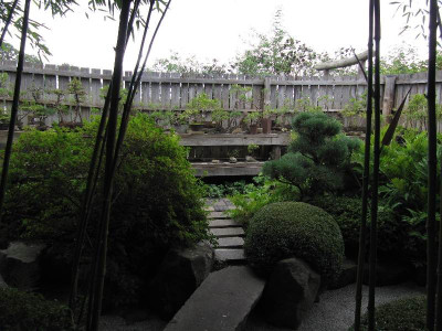 Roji_Bonsaigarten_2.jpg