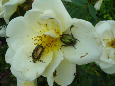 K640_DSC01772.JPG