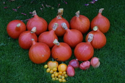 Sept.0411.jpg