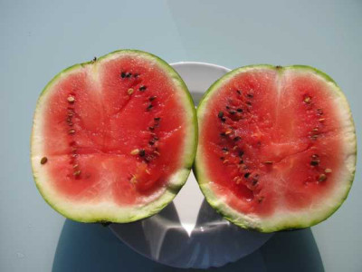 K640_Bild_002.JPG
