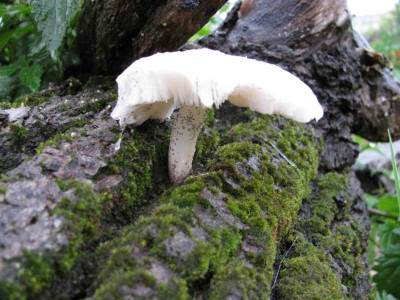 K800_IMG_2564.JPG