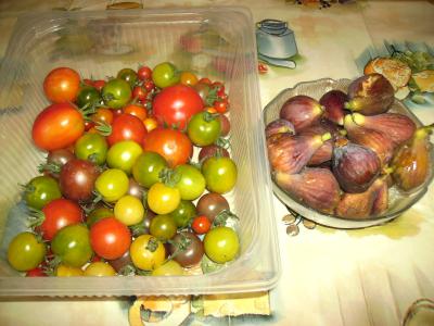 tomatenundfeigen.jpg