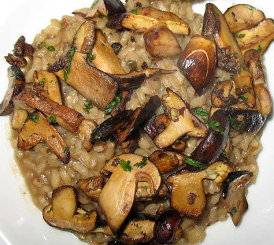 IMG_4046_Pilzrisotto.jpg