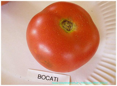 Bocati_2011.jpg