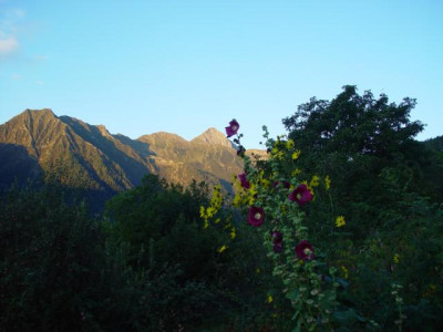 K640_DSC03007.JPG