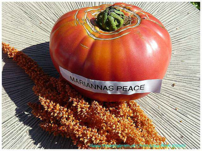 Mariannas_Peace_2011_01.jpg